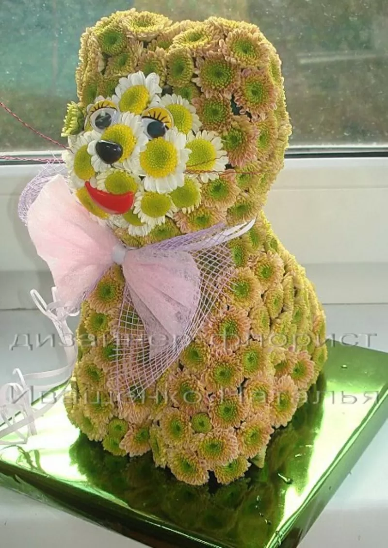 Котик из живых цветов.