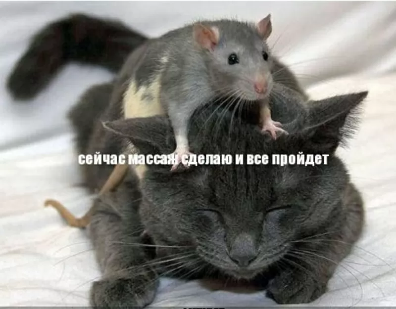 массаж общеоздоровительный,  антицеллюлитный,  депиляция