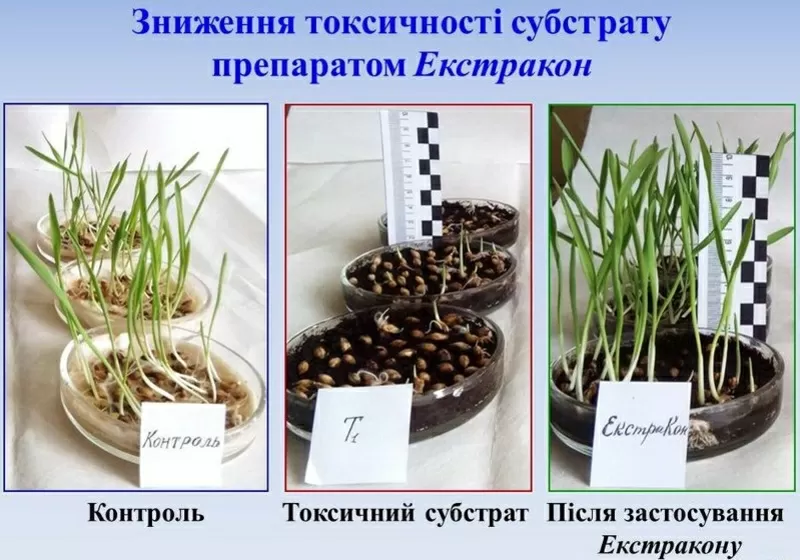 Биопрепарат Екстракон для органічного землеробства 2