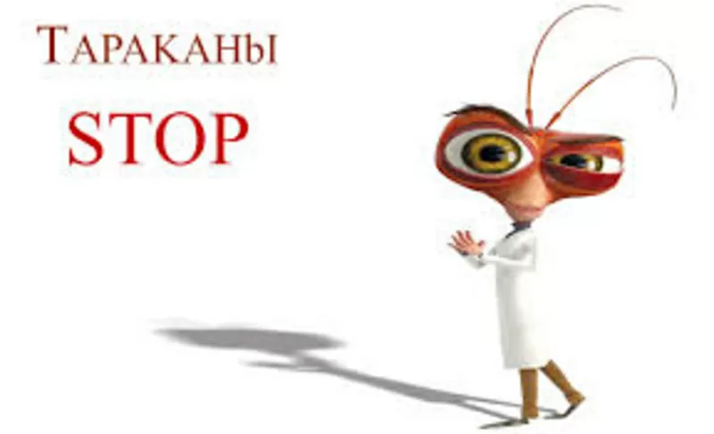 Уничтожение вредных насекомых,  грызунов.