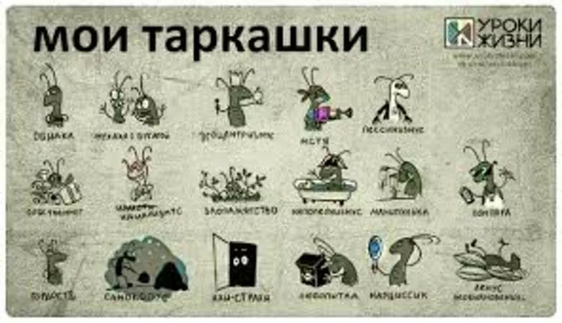 Уничтожение вредных насекомых,  грызунов. 3