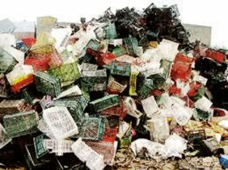 Сбор,  вывоз твердых бытовых и промышленных отходов