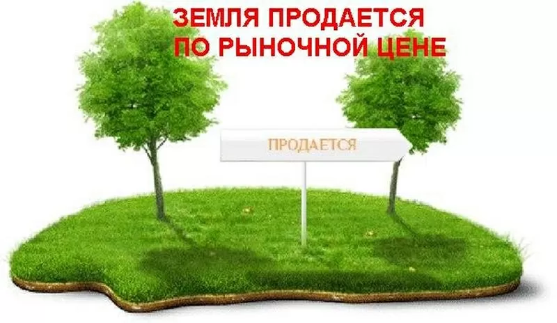 Лидерам крупных сетевых структур и сетевикам различных компаний на Укр