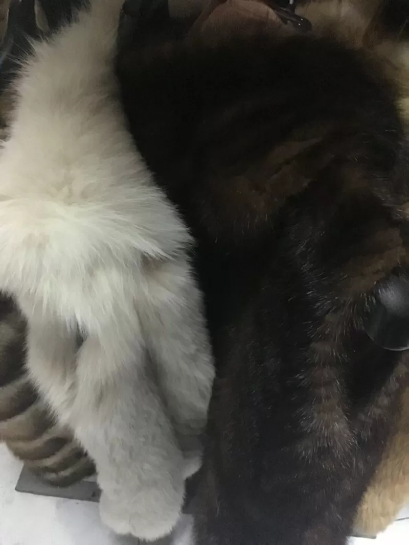 Изделия из меха, кожи б/у Италия 3