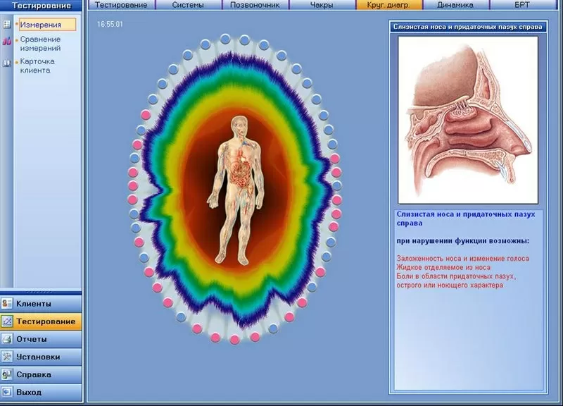 Диагностика на БРИС биорезонансное экспресс-тестирование в Киеве 3