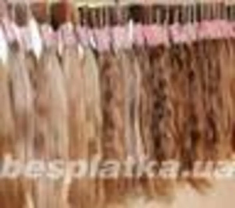 Услуги по покупке натуральных волос в населения. 2