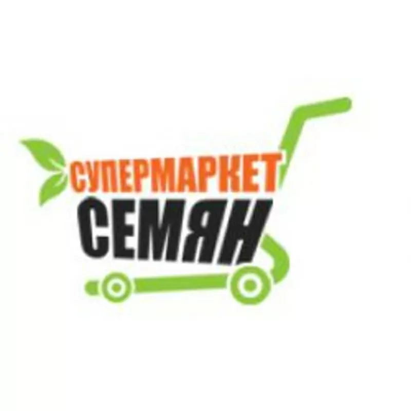 Семена сельдерея оптом и в розницу 2