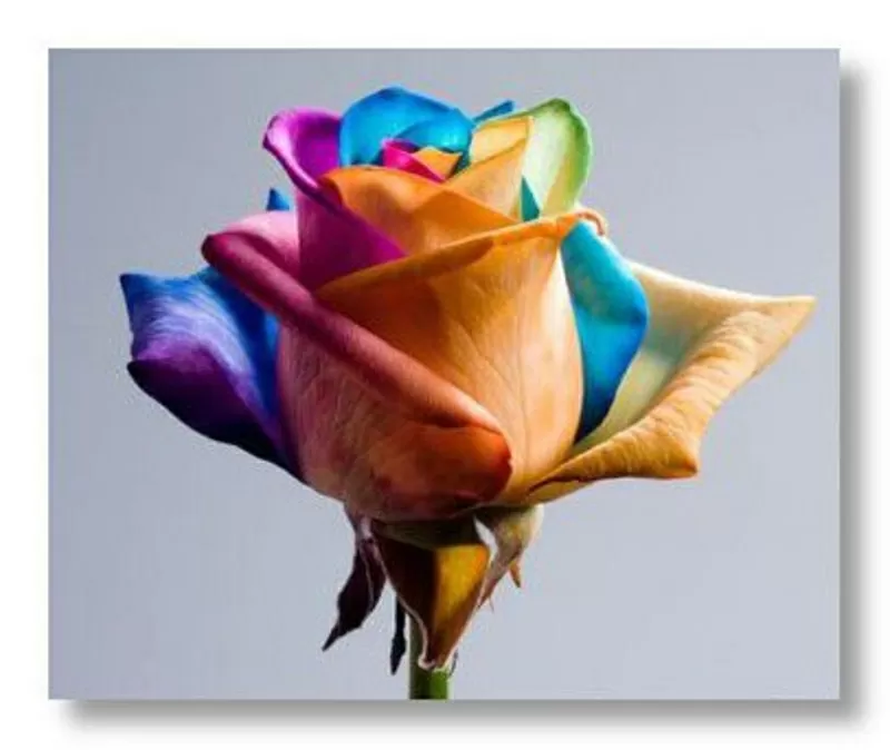  Решение психол-х вопросов 50 грн по Скайпу