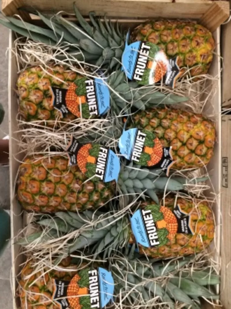Продаем ананасы из Испании 4