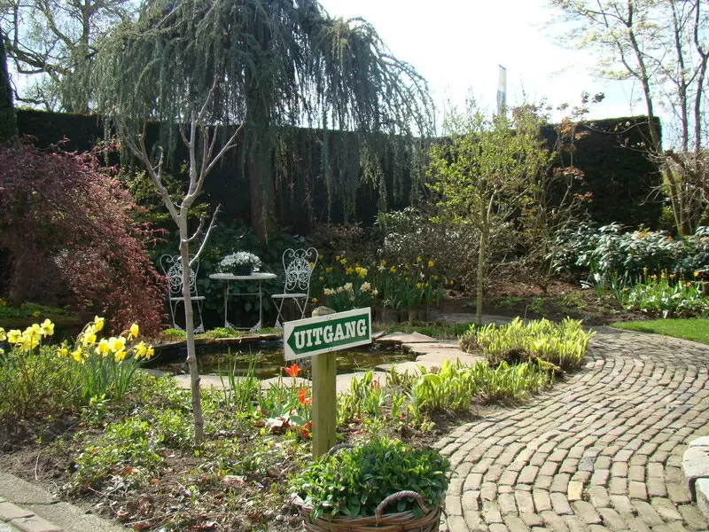 Ландшафтный дизайн АстраСад 4