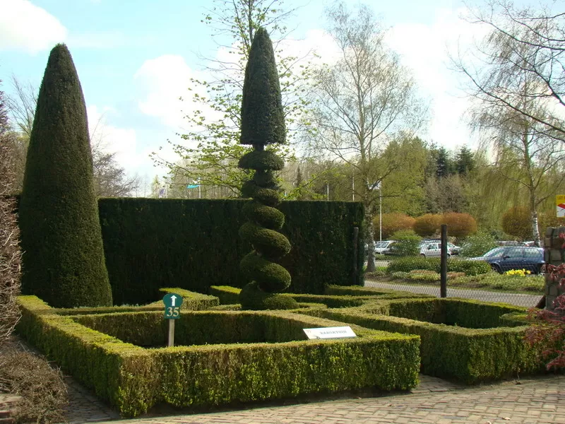 Ландшафтный дизайн АстраСад 5