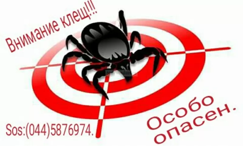 Акарицидна обробка територій 3