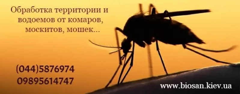 Акарицидна обробка територій 4