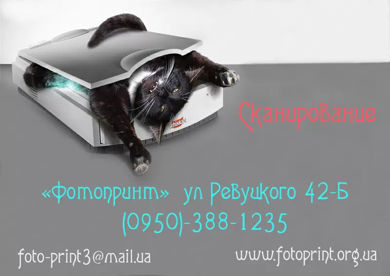 Сканирование