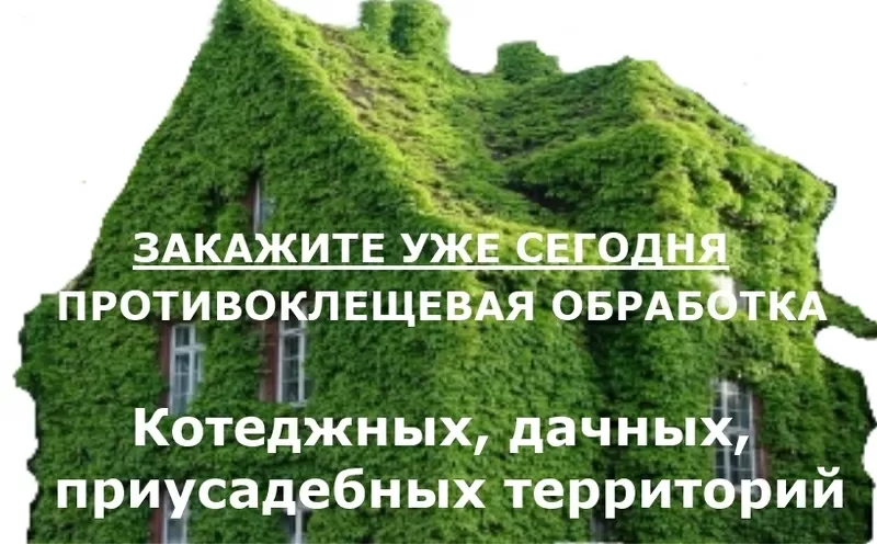 Обробка ділянок від кліщів та комарів 2