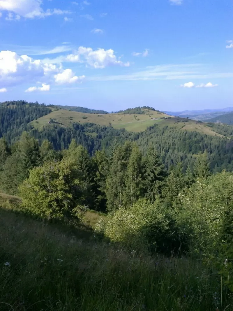 Нерухомість в Карпатах Верховинський район недорого 4