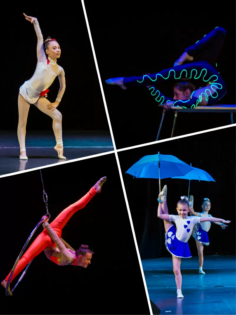 Школа танцев,  художественная гимнастика,  акробатика,  цирковые жанры. 2