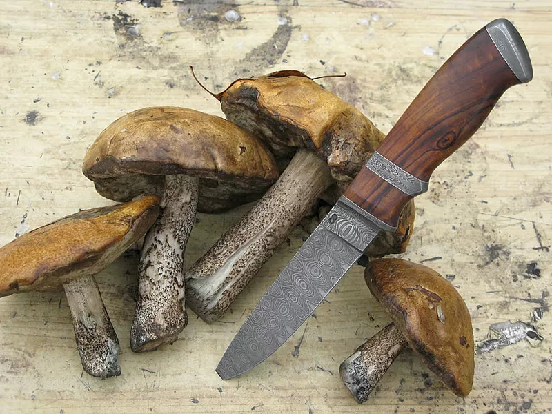 Деревянные рукоятки,  заготовки для элитного ножа из твердых экзотических пород 3