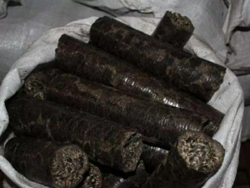 Топливные брикеты из лузги подсолнечника 2