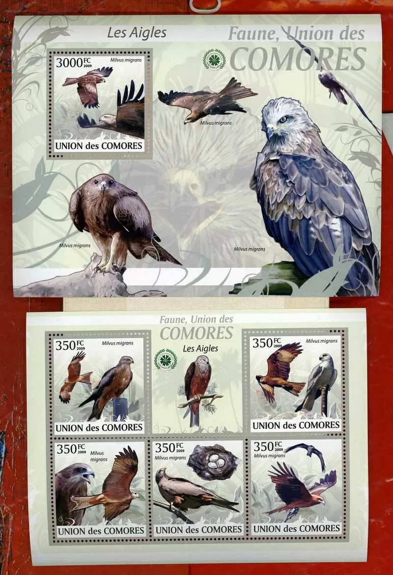 2009 Коморы Птицы Фауна