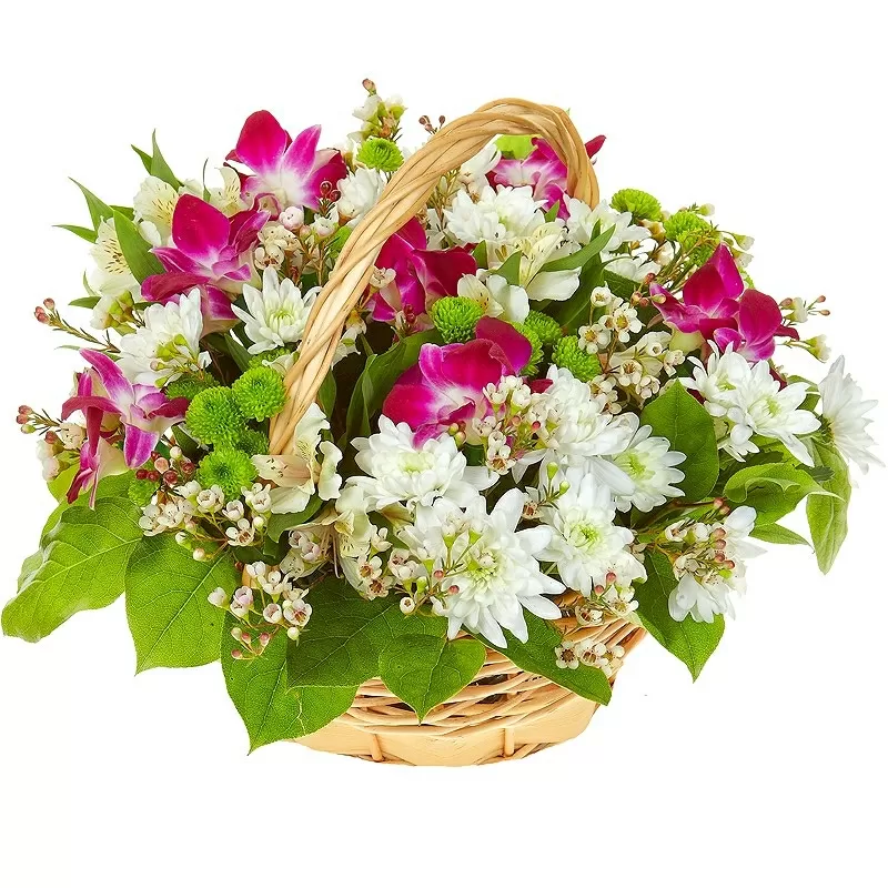 Доставка цветов и подарков Flowers DS 4