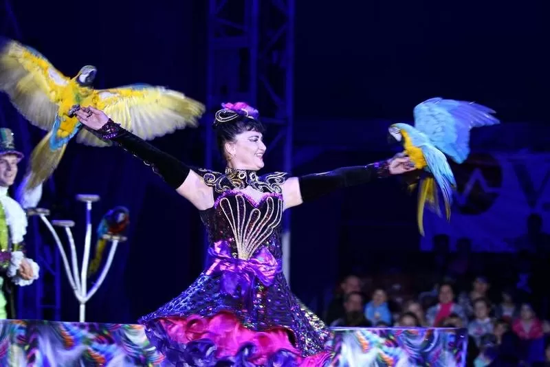 Детские шоу программы 4