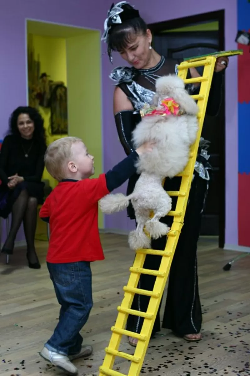 Детские шоу программы 6