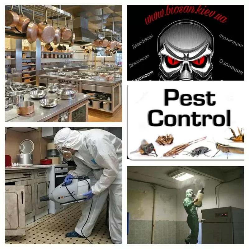 Уничтожение вредных насекомых, грызунов. 5