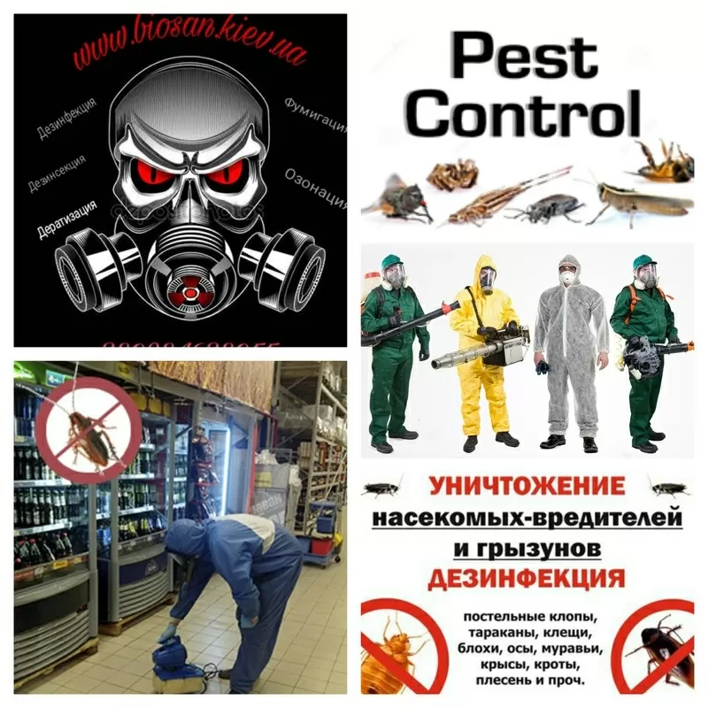 Уничтожение вредных насекомых, грызунов. 4