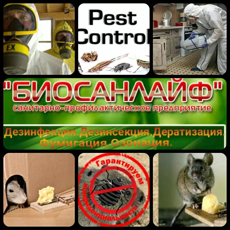 Уничтожение вредных насекомых, грызунов. 3