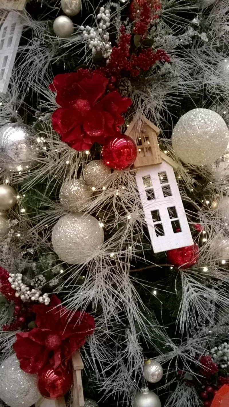 Путешествия, сказки, приключения, автор Репич Марина 4