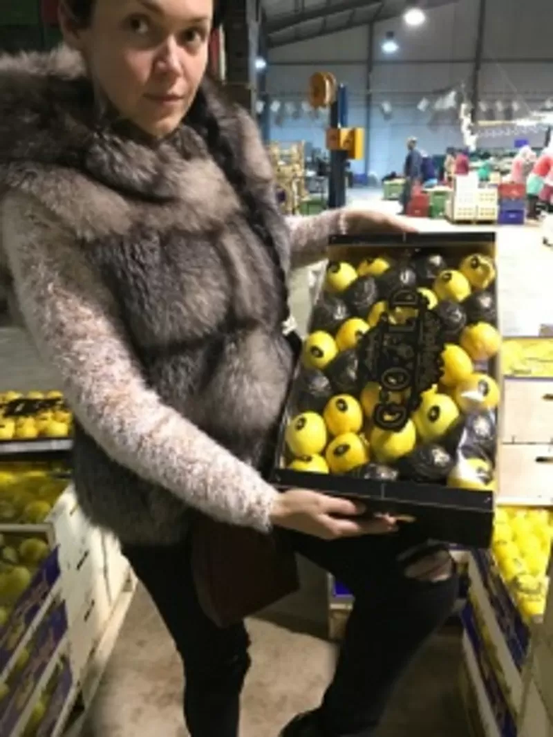 продаем лимон  8