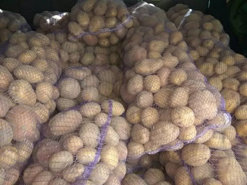 Картопля домашня з доставкою по Києву 3