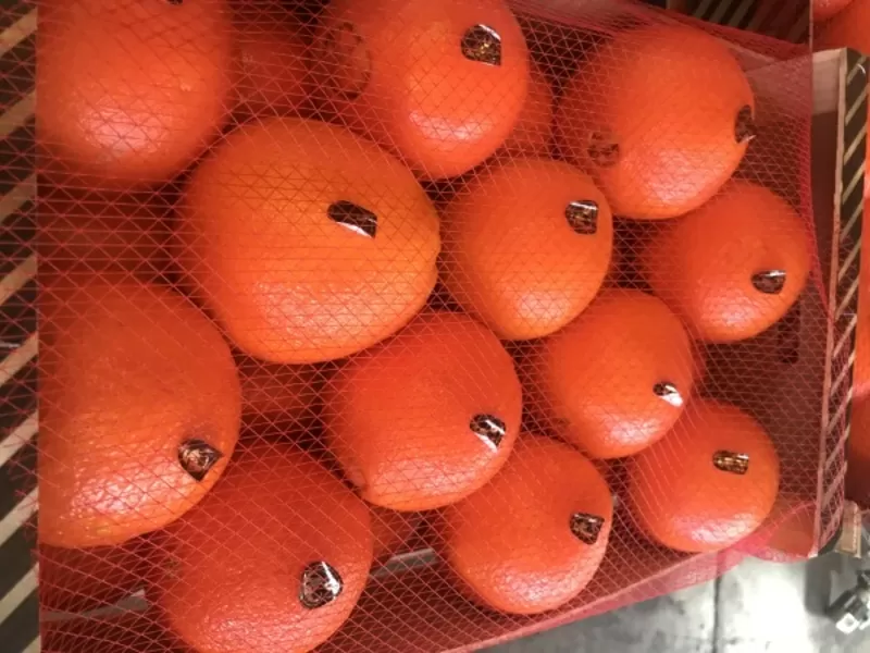 продаем апельсин 3