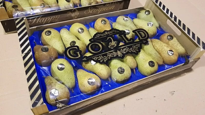 Продаем грушу из Испании 4