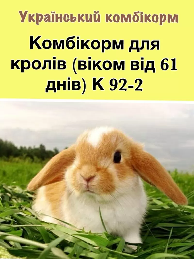Комбікорм для кролів К 92-2 (від 60 днів і більше)