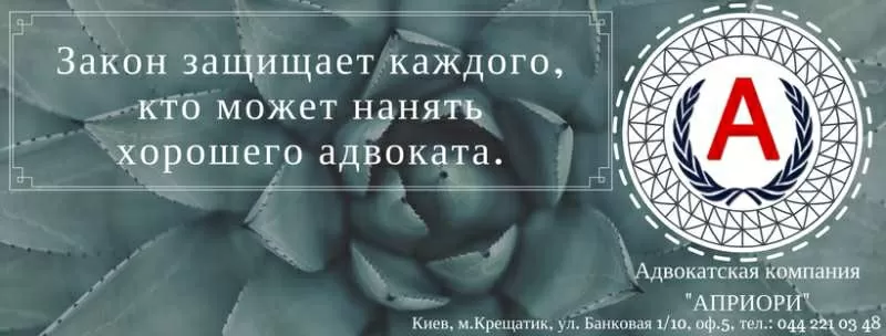 Помощь опытного адвоката по хозяйственным делам  2