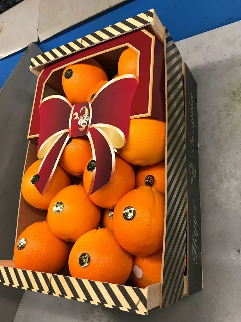 продаем апельсин 6