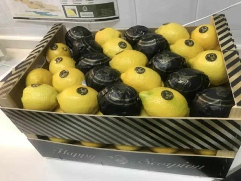 продаем лимон  2