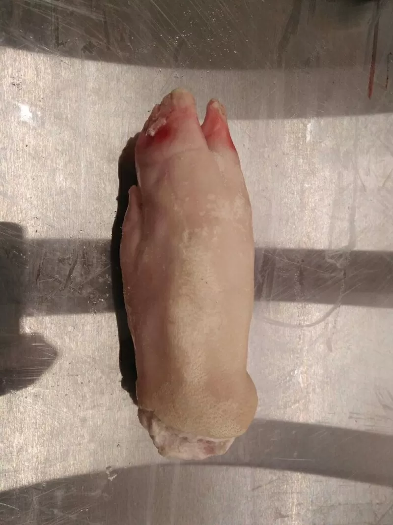 ООО « Амтек Трейд» предлагает замороженные свиные ноги! 3