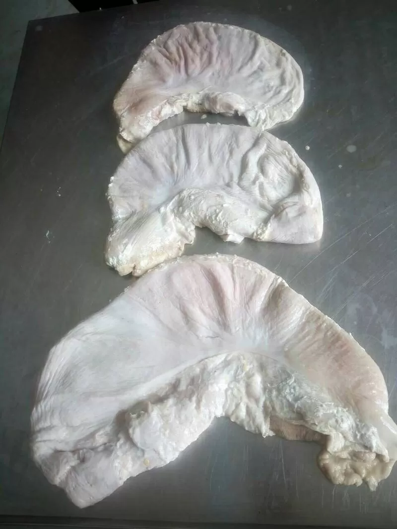 ООO« Амтек Трейд» предлагает замороженные свиные желудки(очищеные)!