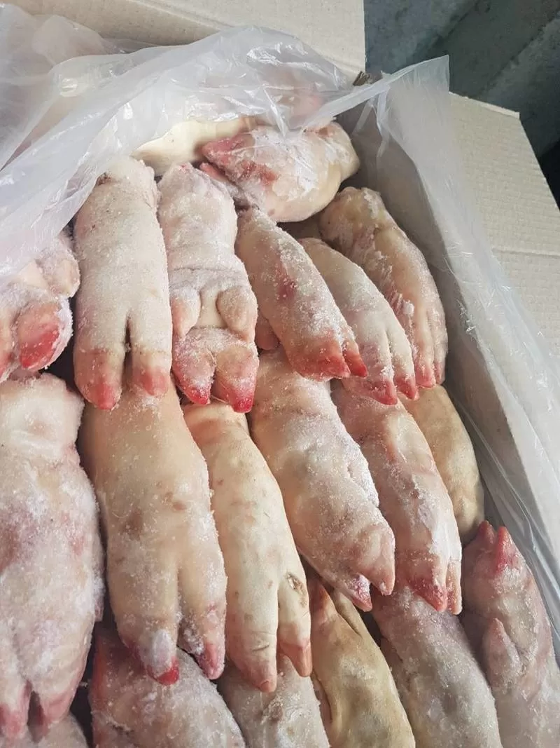 ООО «Амтек Трейд» предлагает замороженные свиные субпродукты!