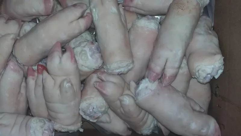 ООО «Амтек Трейд» предлагает замороженные свиные субпродукты! 5