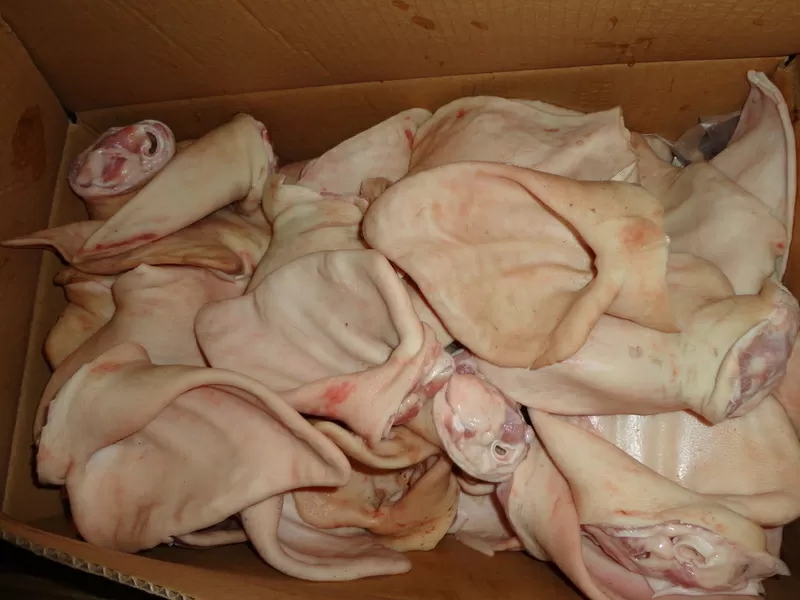 ООО «Амтек Трейд» предлагает замороженные свиные субпродукты! 3