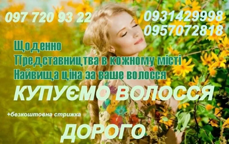 Скупка волос в Киеве. Куплю волосы дорого без посредников. Салон в цен