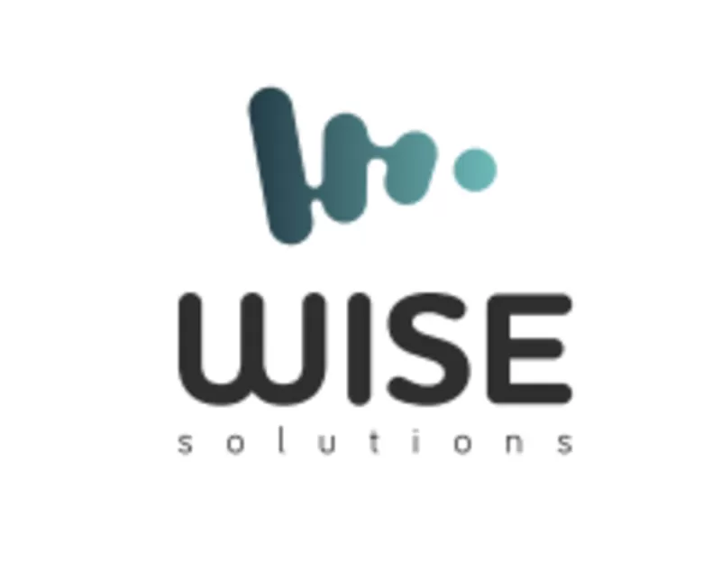 Wise Solutions –  розробка та впровадження розумних інтернет-рішень