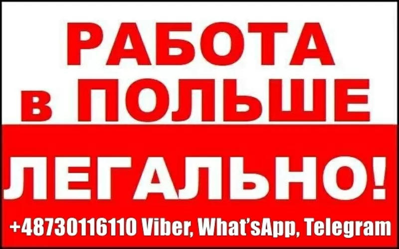 Трудоустройство в Польше для мужчин и женщин. Легально 