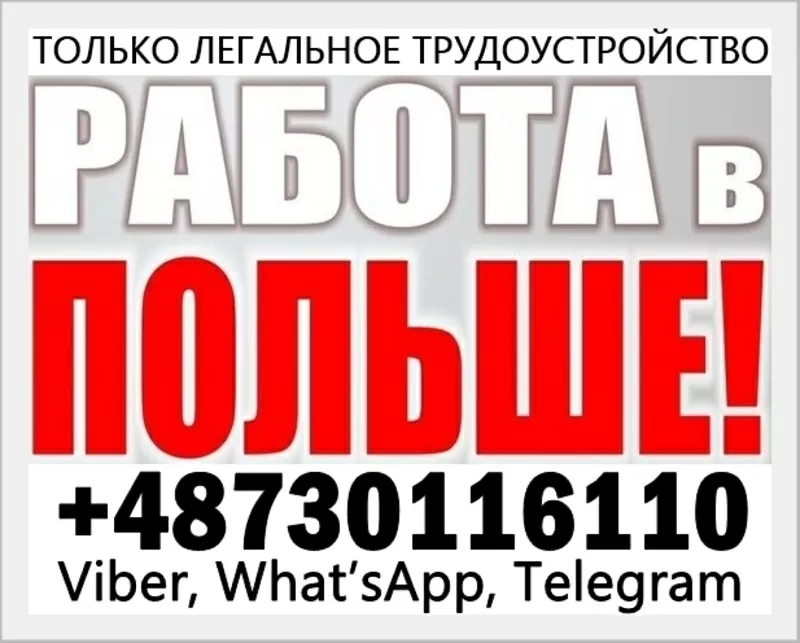 Легальное трудоустройство в Польше для мужчин и женщин. 