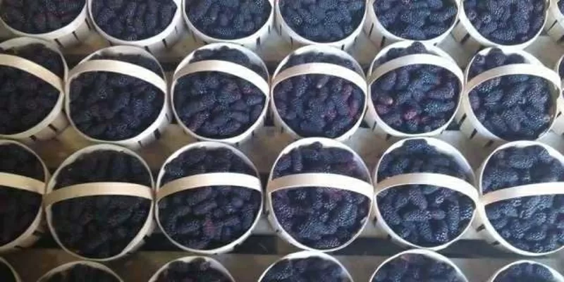 Корзинки из шпона, упаковка натуральна 3