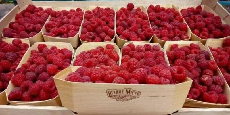 Корзинки из шпона, упаковка натуральна 4